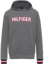 Tommy Hilfiger Logo Recycled Cotton Blend Hoody (UM0UM01934-P90) zinc vigore-recover