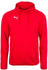 Puma Liga Casuals Hoody (655307)