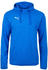 Puma Liga Casuals Hoody (655307)
