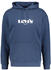 Levi's Relaxed Graphic Graphic Serif Hoodie (38479)