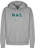 Levi's Relaxed Graphic Graphic Serif Hoodie (38479)