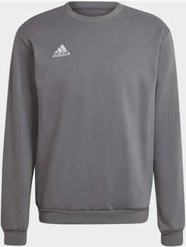 Adidas Entrada 22 Sweatshirt team grey four