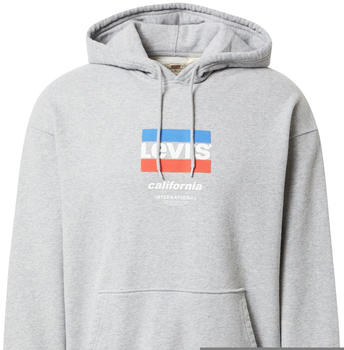 Levi's Relaxed Graphic Graphic Serif Hoodie (38479-0106)