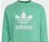 Adidas adicolor Classics Trefoil Sweatshirt