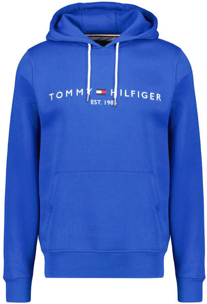 Tommy Hilfiger Organic Cotton Blend Logo Hoody (MW0MW11599) greek isle blue