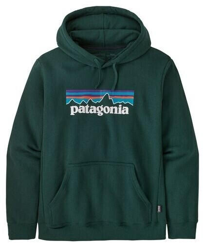 Patagonia Men's Uprisal Hoody (39622) pinyon green