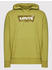 Levi's Standard Graphic Hoodie (38424)