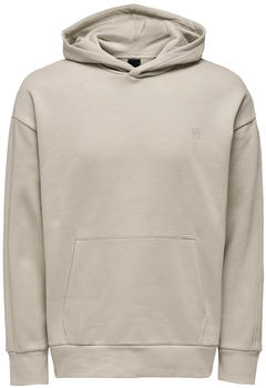 Only & Sons ONSDAN LIFE RLX HEAVY SWEAT HOODIE NOOS (22026661-4268696) silver lining