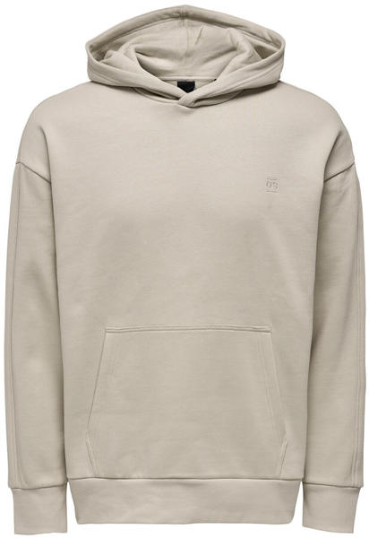 Only & Sons ONSDAN LIFE RLX HEAVY SWEAT HOODIE NOOS (22026661-4268696) silver lining