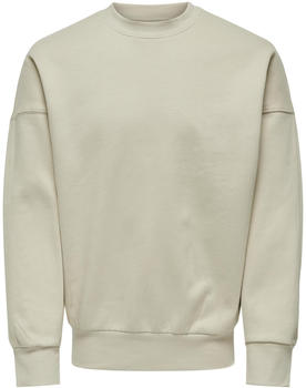 Only & Sons ONSDAN LIFE RLX HEAVY SWEAT CREW NOOS (22026662-4268693) silver lining