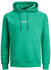 Jack & Jones JORVESTERBRO SWEAT HOOD NOOS (12241687)