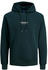 (12241687-4292304) magical forest: Jack & Jones JORVESTERBRO SWEAT HOOD NOOS (12241687)