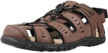 Geox Uomo Strada C Sport Sandale dunkelbraun