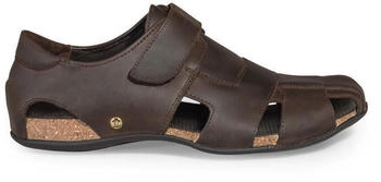 Panama Jack Ledersandalen Fletcher Basic C1 braun