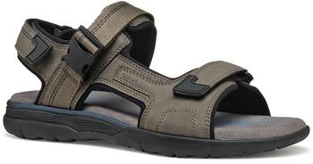 Geox Spherica Ec5 Taupe