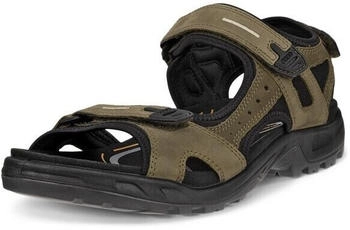 Ecco Offroad Riemchensandale khaki schwarz