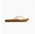 Reef Baja Maria Slides