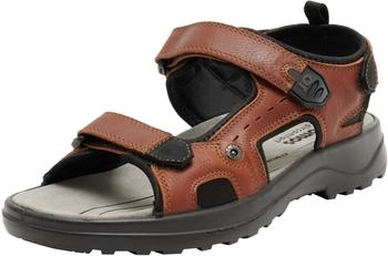 Jomos Liberta (508601) braun