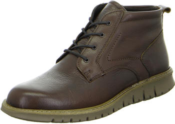 Ara Leandro Oxford bruciato