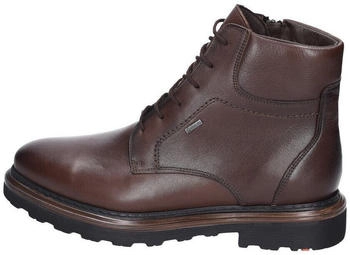 LLOYD Vine GTX (23-531) brown