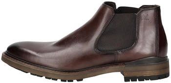 LLOYD VIBE 315 (25-606) braun