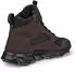 Ecco MX braun