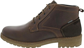 Ara Frederik-GTX Oxford marrone caffee
