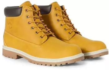 Champion UPSTATE 3.0 honig