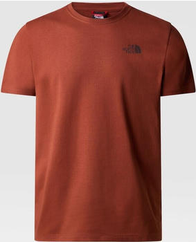 The North Face Redbox Celebration T-Shirt (7X1K) brandy brown