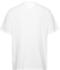 Tommy Hilfiger Reg Spray Pop Color Ext Short Sleeve T-Shirt (DM0DM18572) white