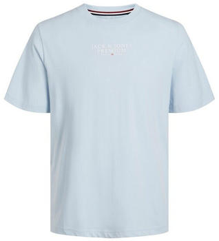Jack & Jones Bluarchie Short Sleeve Crew Neck T-Shirt (12217167) skyway