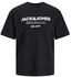 Jack & Jones Gale Short Sleeve T-Shirt (12247782) black
