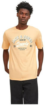 Jack & Jones Logo 2 Col Short Sleeve O Neck T-Shirt (12246690) apricot ice/detail melange