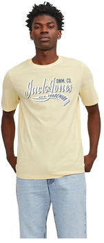 Jack & Jones Logo 2 Col Short Sleeve O Neck T-Shirt (12246690) french vanilla/detail melange