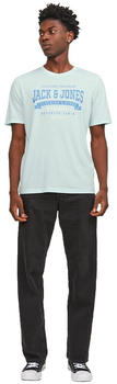 Jack & Jones Logo 2 Col Short Sleeve O Neck T-Shirt (12246690) soothing sea/detail melange