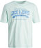 Jack & Jones Logo 2 Col Short Sleeve O Neck T-Shirt (12246690) soothing sea/detail melange