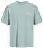 Jack & Jones Santorini Back Short Sleeve Crew Neck T-Shirt (12251776) gray mist