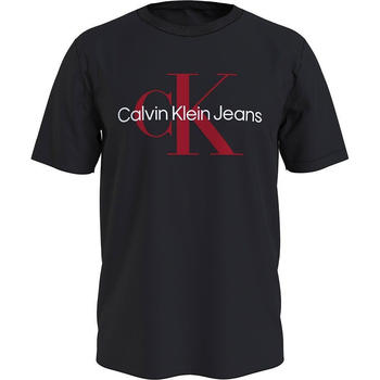 Calvin Klein Core Monologo Slim Short Sleeve T-Shirt red (J30J320935-0GO)