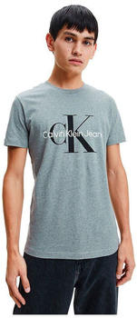 Calvin Klein Core Monogram Slim Short Sleeve T-Shirt blue (J30J320935-P2D)