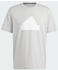 grey two (IY4283)