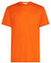 Icebreaker Merino 150 Tech Lite III (IB0A56WL)