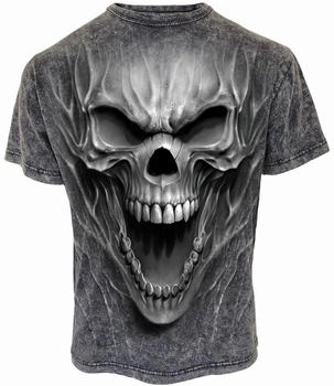Spiral Spiral Beast Within T-Shirt grau