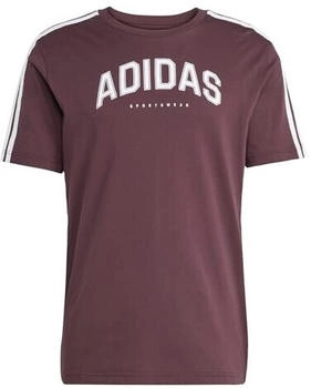 Adidas Codes Collegiate Linear Graphic T-Shirt aurora ruby