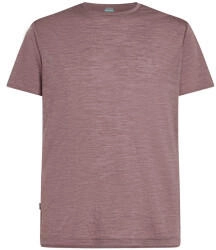 Icebreaker Merino 125 Cool-Lite Sphere III S/S Tee carob hthr