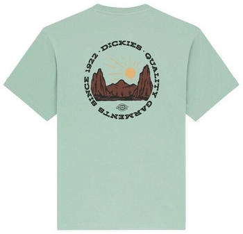 Dickies Outdoor S/S Tee (DK0A4Z8P) IcebergGreen