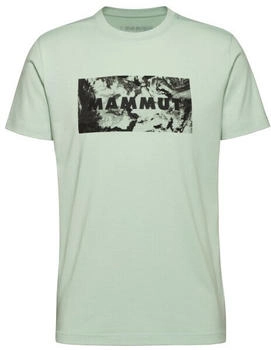Mammut Trovat T-Shirt Men Logo (1017-06460) silver sage