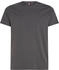 Tommy Hilfiger Regular Fit Crew T-Shirt (DM0DM04411)