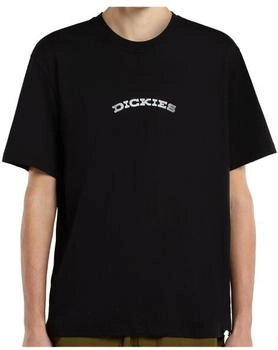 Dickies Outdoor S/S Tee T-Shirt (DK0A4Z8P) black