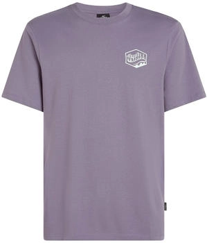 O'Neill Box Logo T-Shirt storm