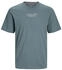 Jack & Jones Bluarchie Short Sleeve Crew Neck T-Shirt (12217167)